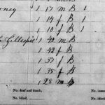 1860 Slave Schedule John Turney Three Fugitives Listed