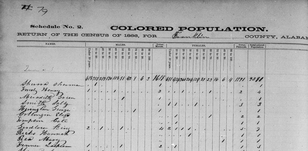Detail from Alabama State Census, 1866