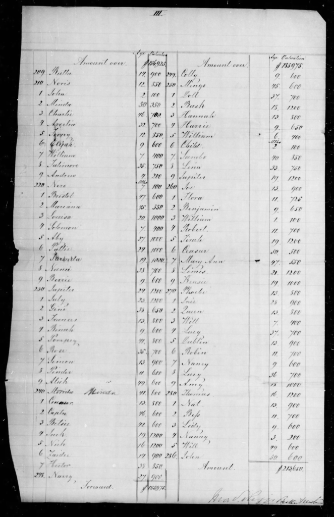 Arthur Blake Confederate Citizens File