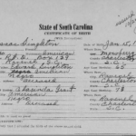 "South Carolina, Delayed Birth Certificates, 1766-1900," database with images, FamilySearch (https://familysearch.org/ark:/61903/3:1:3Q9M-CS9H-C3X2-3?cc=2512859&wc=Q68D-Z73%3A1590132451 : 24 January 2017), no. 4-1092 Alfred Sanders Hill - no. 5-695 Sam Nesbit > image 962 of 2034; South Carolina Department of Archives & History, Columbia.