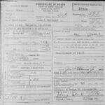 Death Certificate for Benjamin singleton 1916