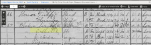 Arthur Blake 1900 Census