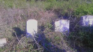 Johnson Family Plot Fairview Cemetery