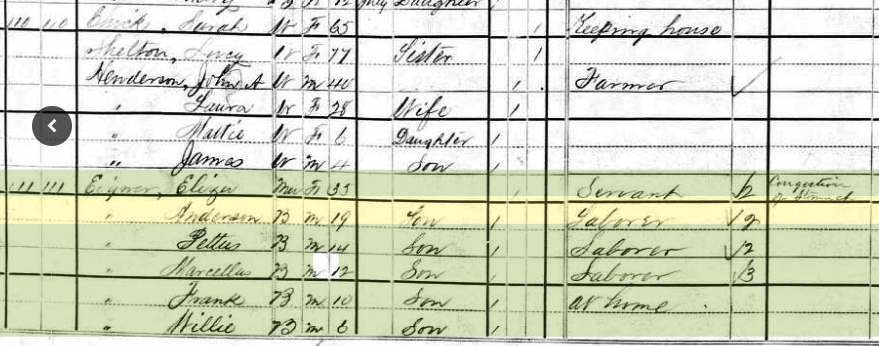 1880 Census, Sara Chick and Eliza Eigner
