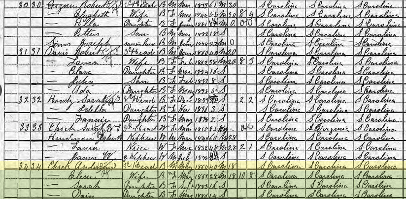 Elizabeth1900 Census, Eigner – Sarah E. Chick – Anderson Chick