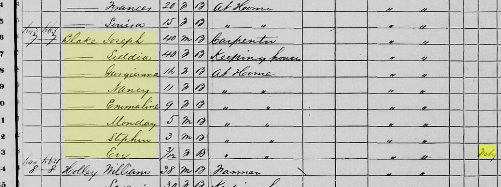 Blake Family 1870 Census