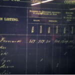 Eliza maybin 1869 SC State Census