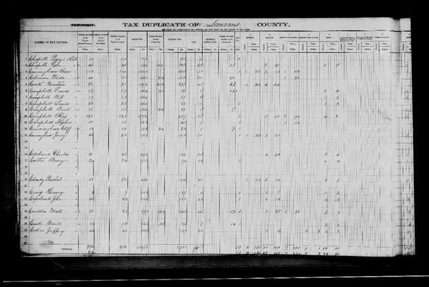 Tax duplicates, 1868, 1870-1875, 1890, images, FamilySearch, (https://www.familysearch.org/ark:/61903/3:1:3Q9M-CSRD-FS5P-V?cat=115802: 1 May 2018) Laurens < Tax Duplicates, 1873, Images 84 of 413; citing Department of Archives and History, Columbia