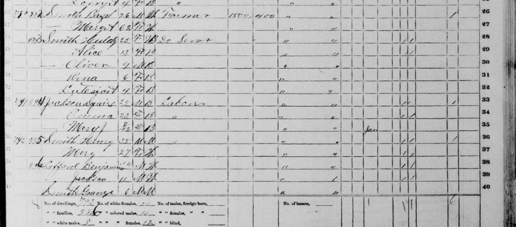 "United States Census, 1870," database with images, FamilySearch (https://familysearch.org/ark:/61903/3:1:S3HT-6Q39-5FN?cc=1438024&wc=92K7-YWY%3A518655201%2C519281601%2C519293701 : 22 May 2014), South Carolina > Laurens > Laurens County > image 113 of 168; citing NARA microfilm publication M593 (Washington, D.C.: National Archives and Records Administration, n.d.).” class=”wp-image-211812″><figcaption>“United States Census, 1870,” database with images, FamilySearch (https://familysearch.org/ark:/61903/3:1:S3HT-6Q39-5FN?cc=1438024&wc=92K7-YWY%3A518655201%2C519281601%2C519293701 : 22 May 2014), South Carolina > Laurens > Laurens County > image 113 of 168; citing NARA microfilm publication M593 (Washington, D.C.: National Archives and Records Administration, n.d.).
</figcaption></figure><br clear=