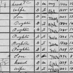 McCool in 1900 Census