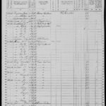 Vance Family in 1870 U.S. Census