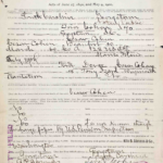 Declaration for Widow's Pension Acts of 1890 and 1900, Tira Cohen, Pension File of Caesar Cohen, Application #1119283