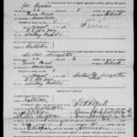 Colleton County, South Carolina Marriage Licenses, 1911-1951