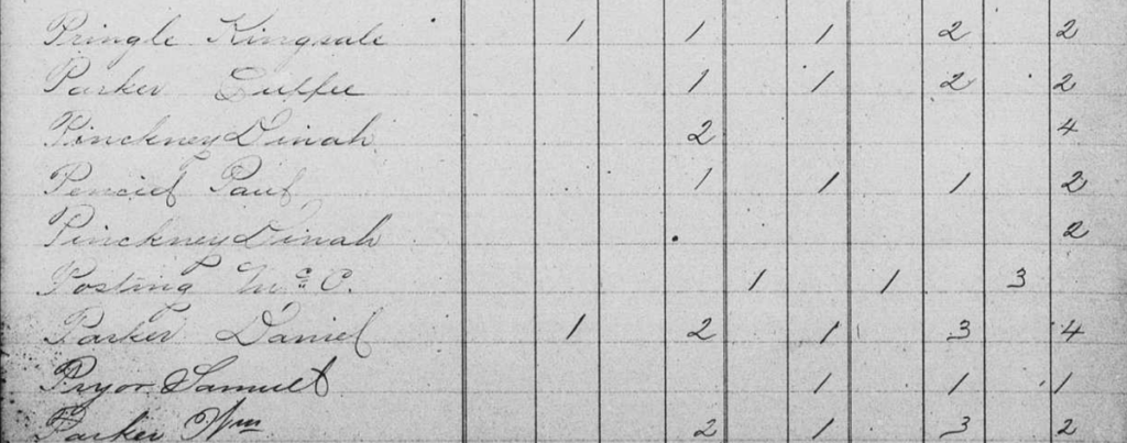 Detail From 1869 South Carolina State Census