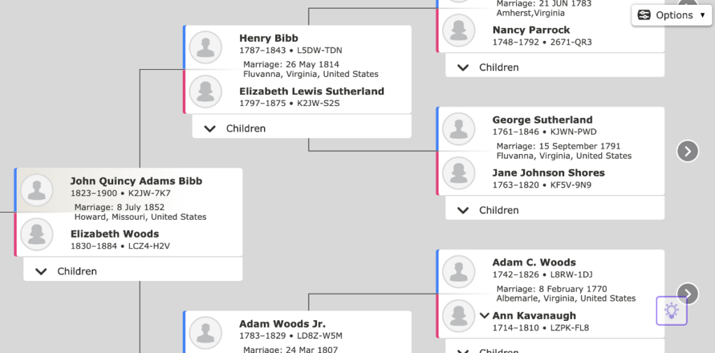 Family Tree for John Quincy Adams Bibb