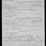 Jasper County, South Carolina Marriage Licenses, ca. 1912-1950