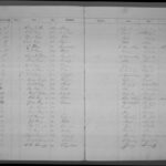 City of Savannah voters registers, 1856-1896.