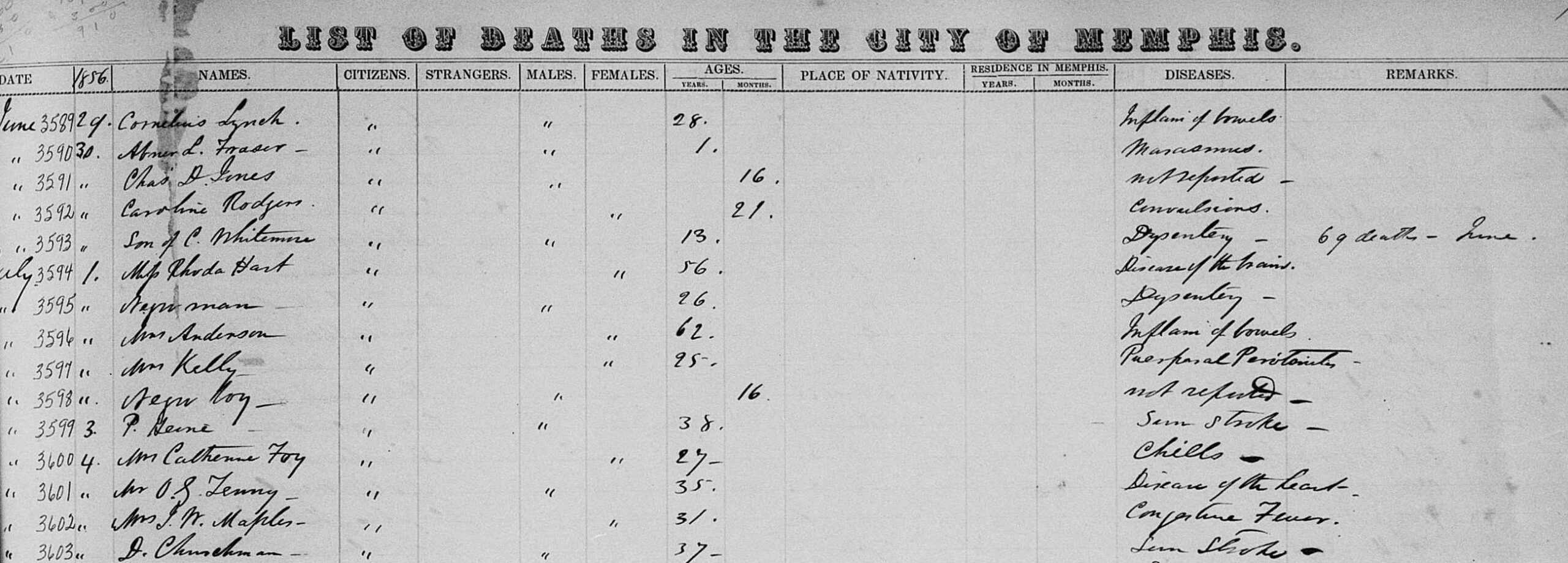 Example, 1856 Death Register