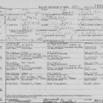 George Jones in Texas, Harrison County Delayed Birth Records, 1860-1933
