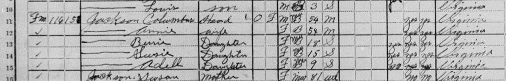 Virginia Jackson Columbus 1920 Census Mother in Household