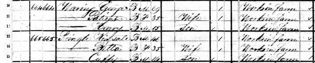 Kingsale Pringle, 1880 Census, Georgetown, South Carolina