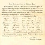 Freedmen's Bureau Marriage Record